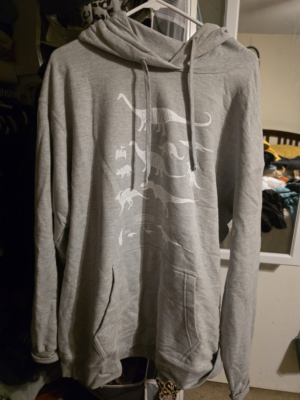 Gray Dinosaur Graphic Hoodie for Men